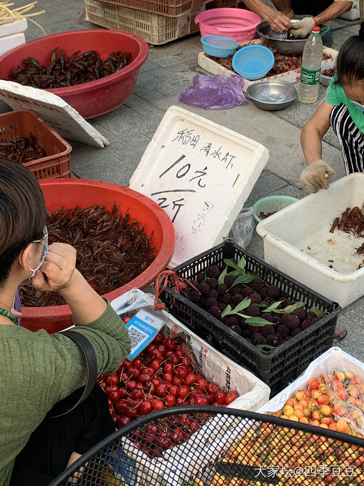 前不久还在羡慕别人小龙虾便宜h_美食