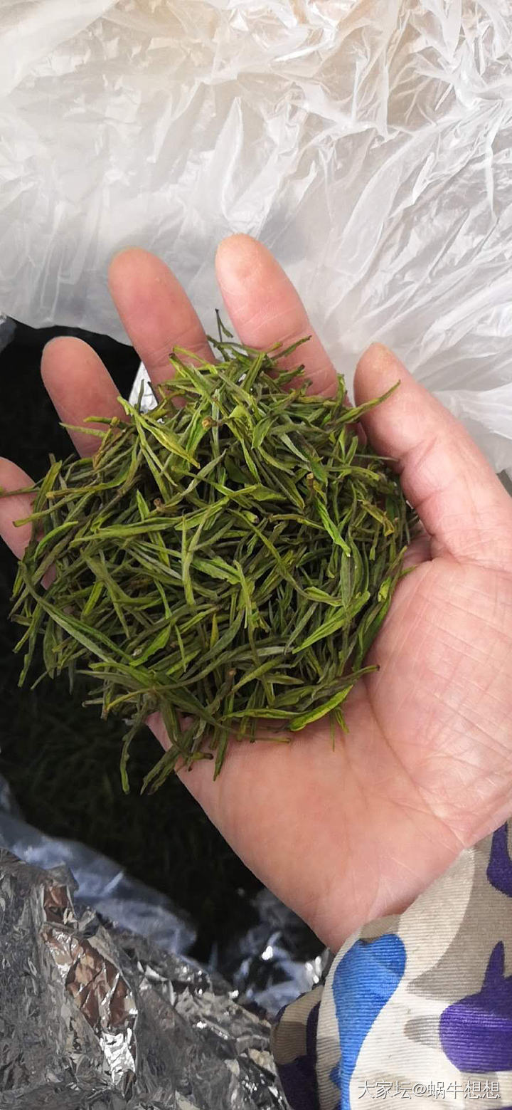 在线等，这个白茶怎么样_茶叶饮品