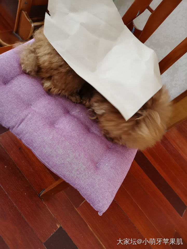 姐妹们网上有没有买过同款不同价两家的衣服对比过？
没做过服装行业，我一直很好奇，..._穿搭