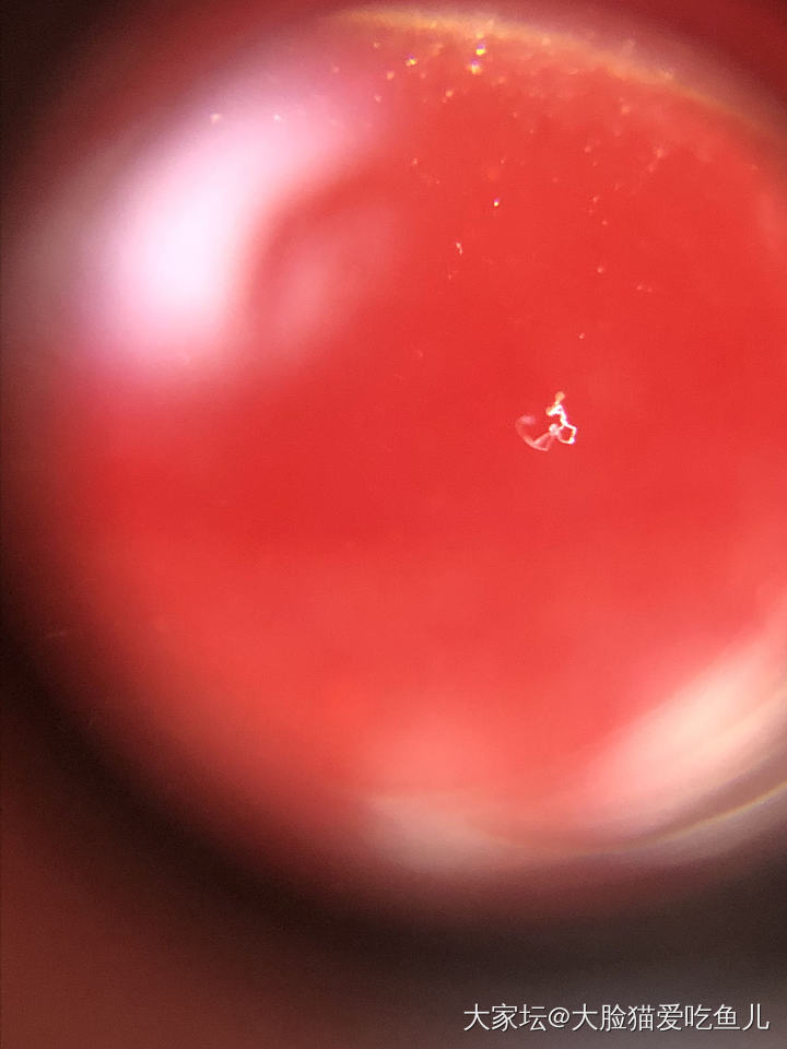 血茶琥珀需要涂油保养吗？_琥珀