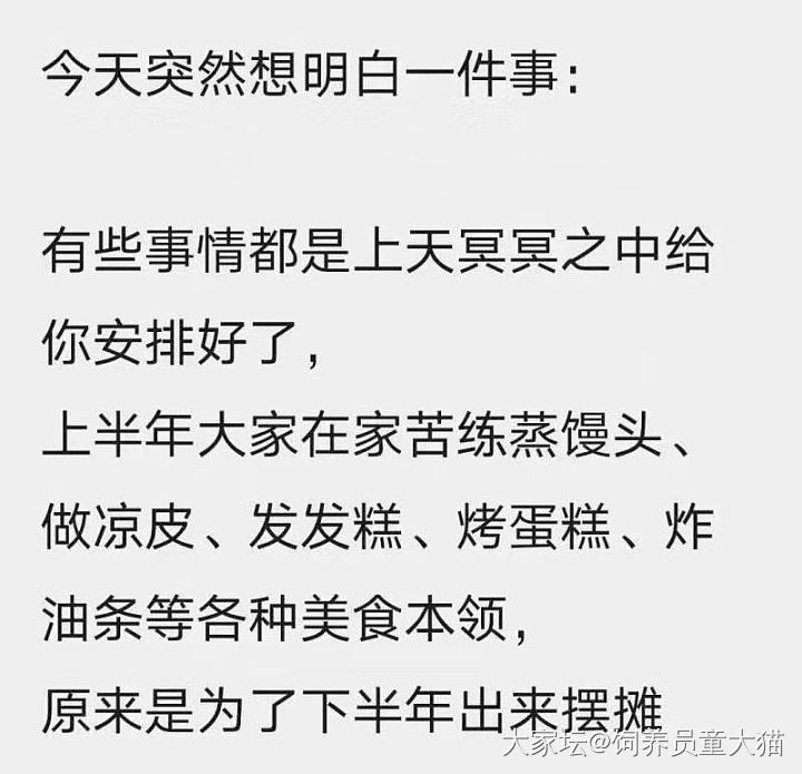 疫情期间我做得最好的估计就是锅盔了_闲聊