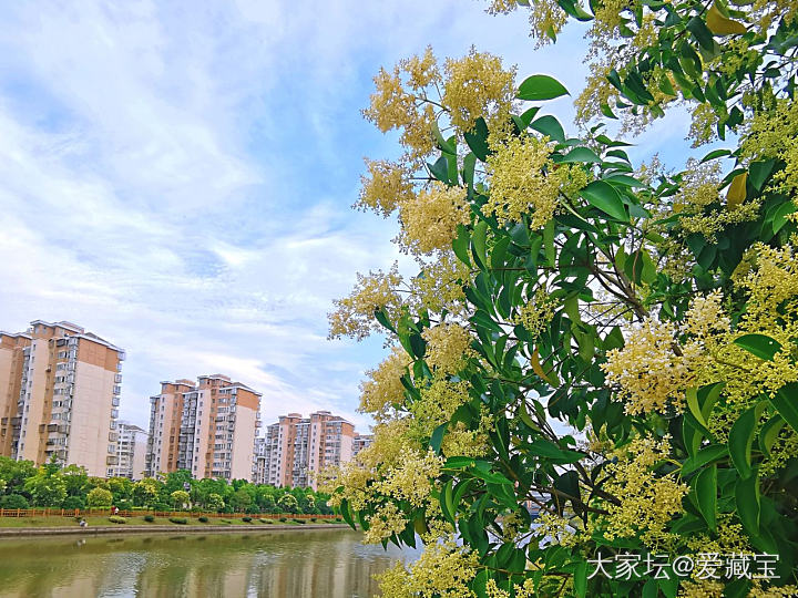 梅雨天气的一抹清新_景色