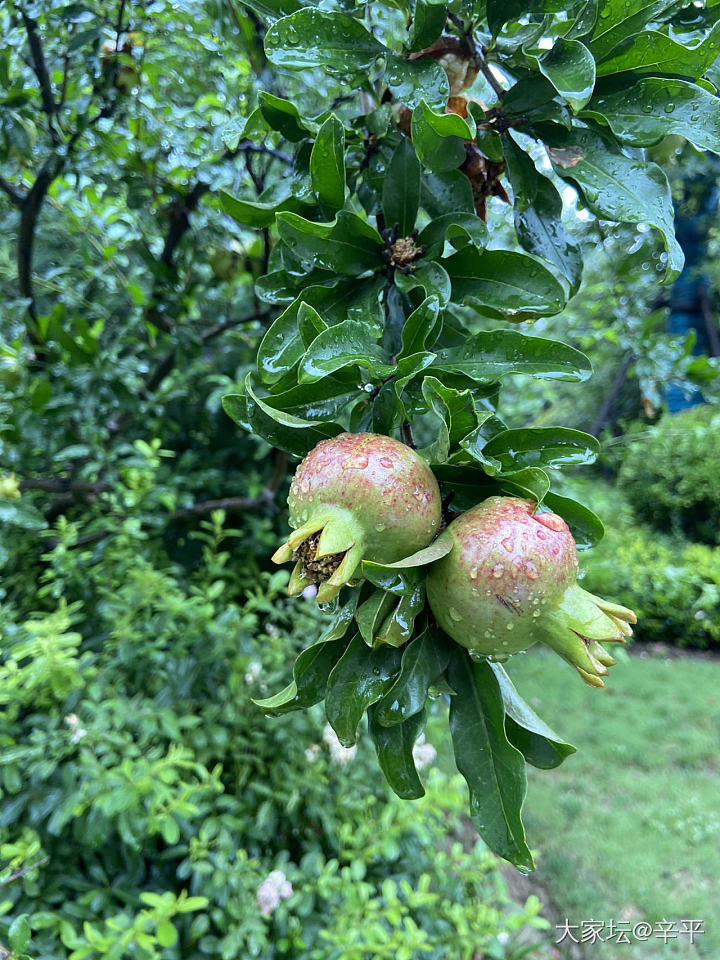 银镯子真的很百搭，就连这样细雨绵绵的天气都那么搭！_手镯银