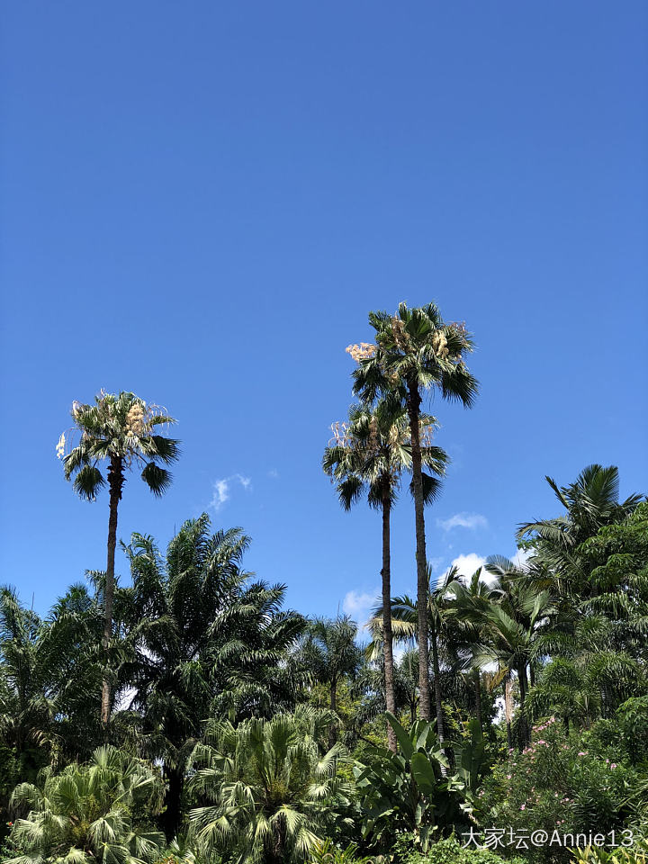 夏天的风，轻轻的吹呀，这个哥呀，有点坑呀……_景色