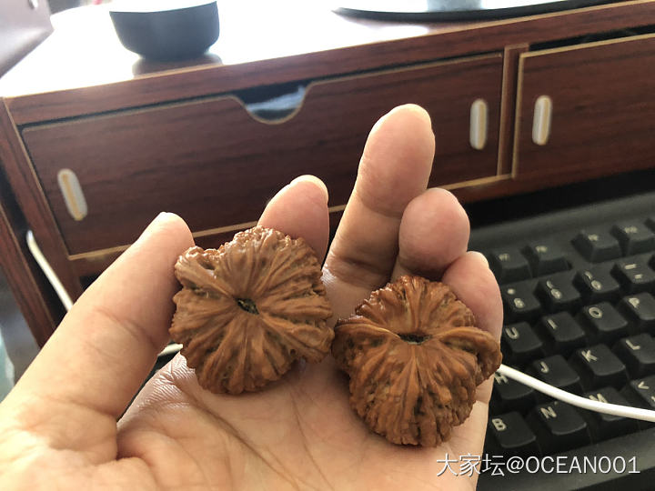 一个月，都挺好，唯一就是一个尖上有黄斑，可惜了_核桃文玩