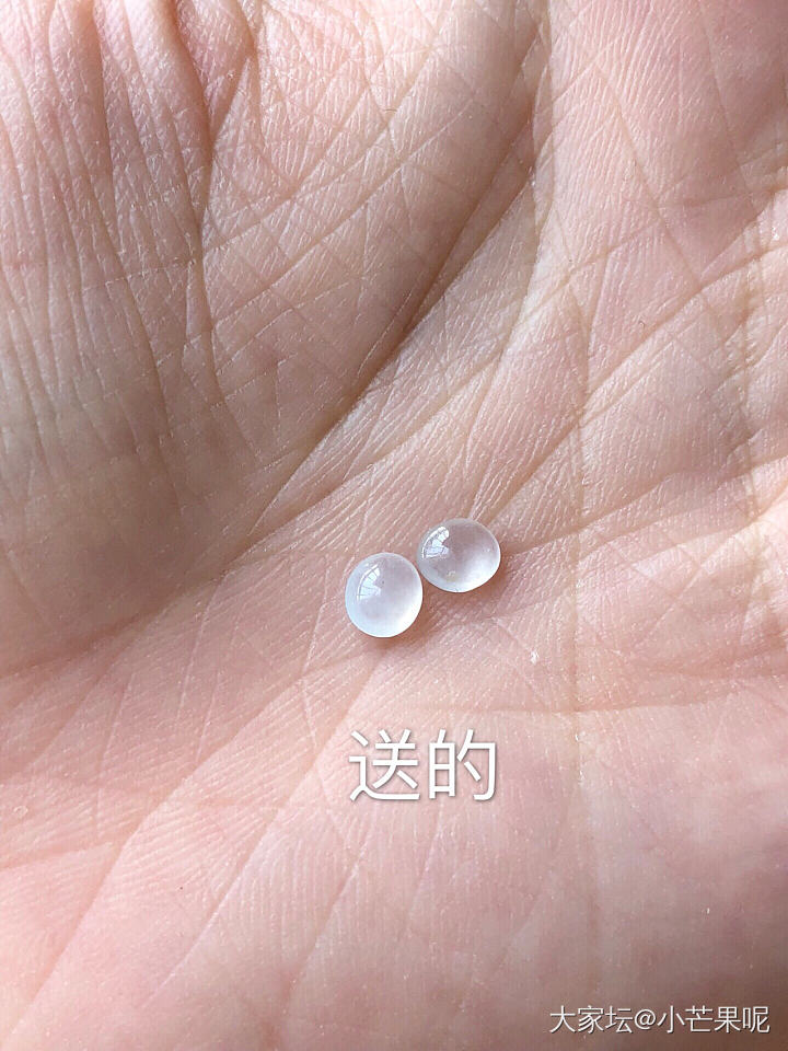 闲鱼奇葩，真气不过了_交易趣闻闲鱼