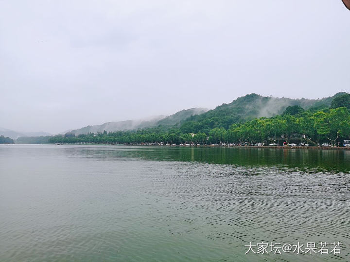 烟雨江南，晴西湖不如雨西湖_植物