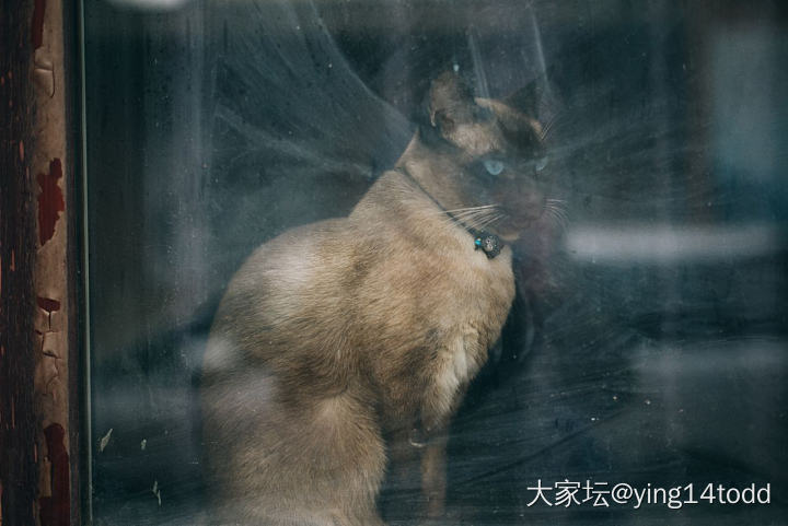 喜欢街拍，记录生活_摄影