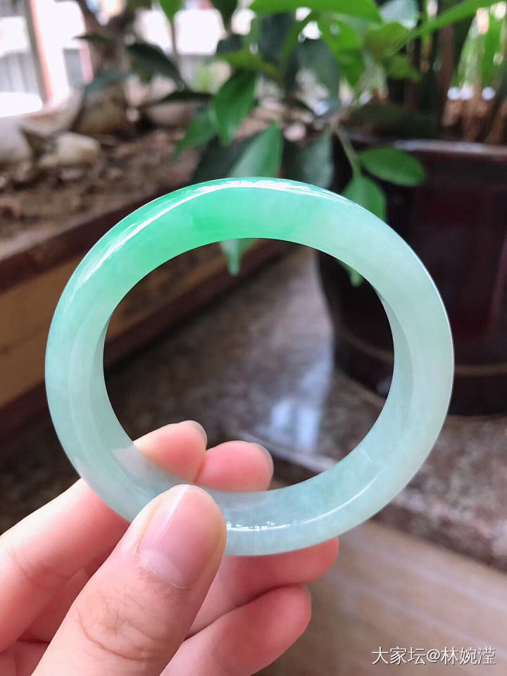 老种起胶飘阳绿翡翠手镯53圈口_翡翠
