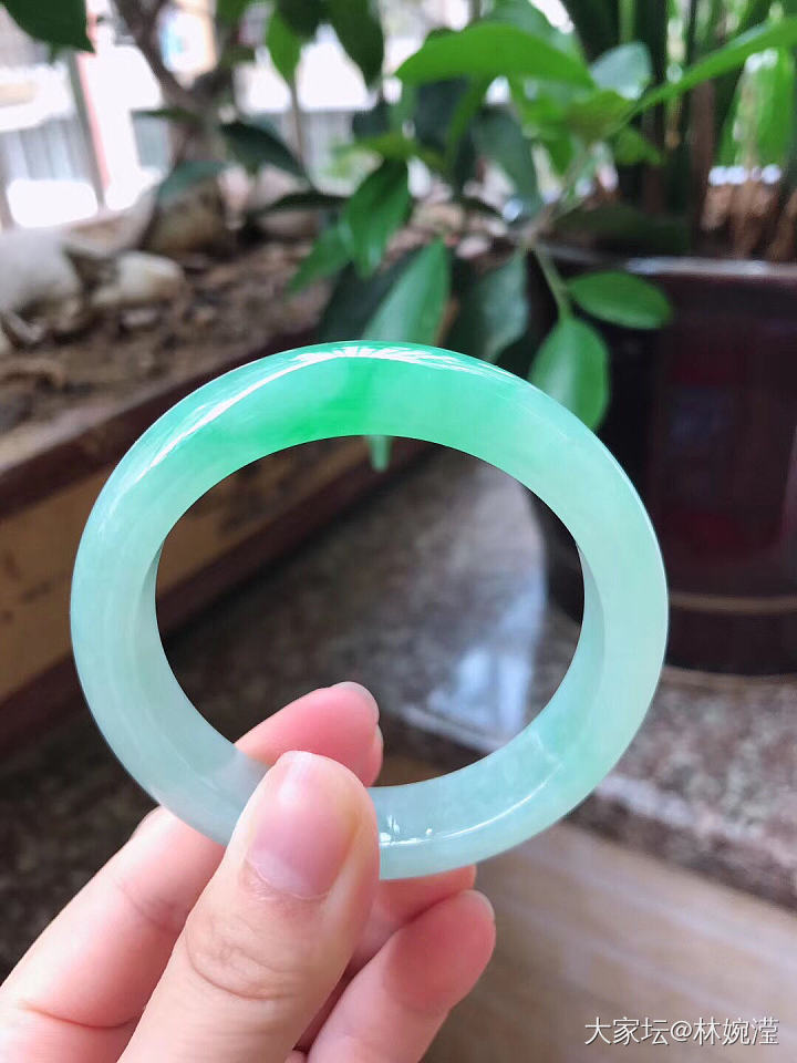 老种起胶飘阳绿翡翠手镯53圈口_翡翠