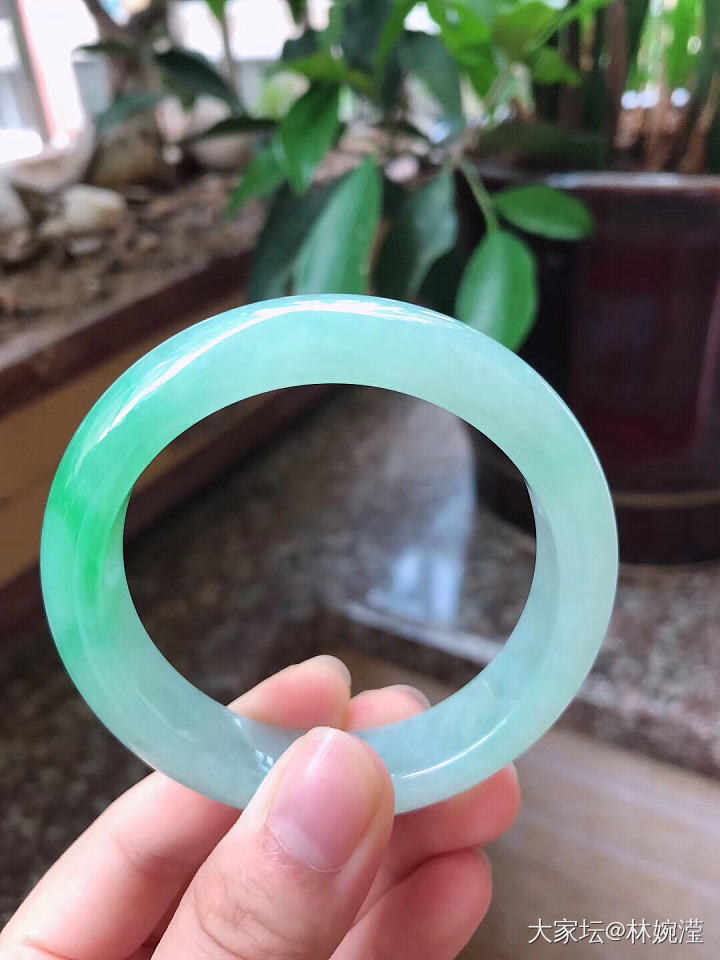 老种起胶飘阳绿翡翠手镯53圈口_翡翠