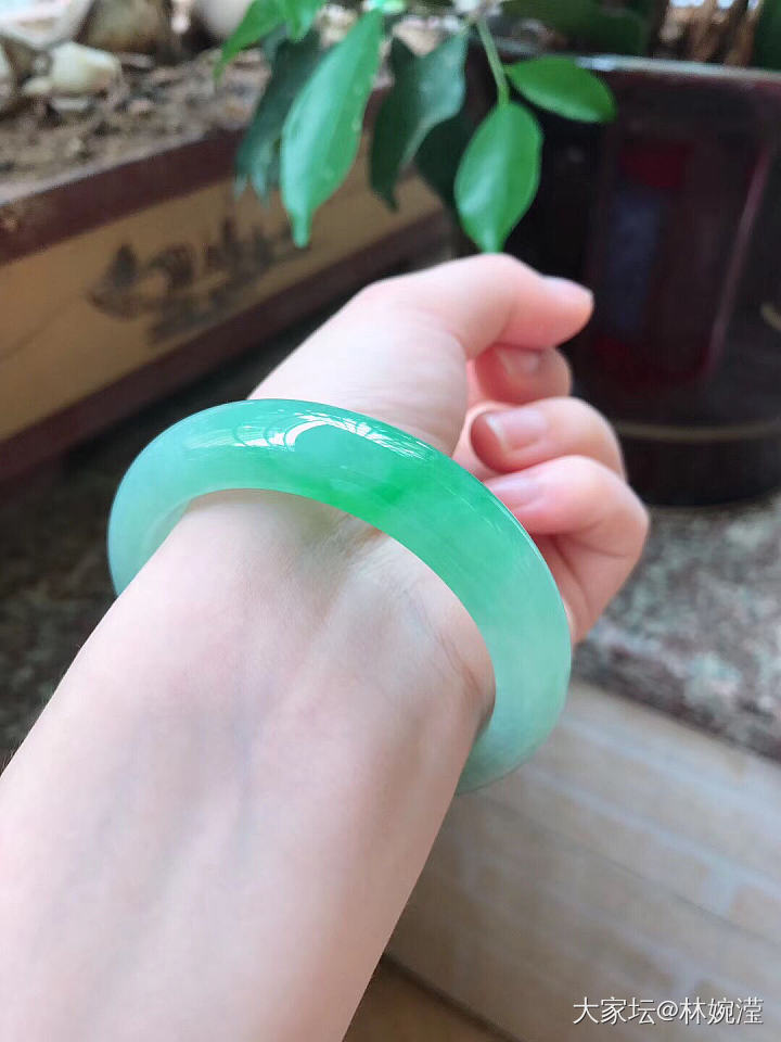 老种起胶飘阳绿翡翠手镯53圈口_翡翠