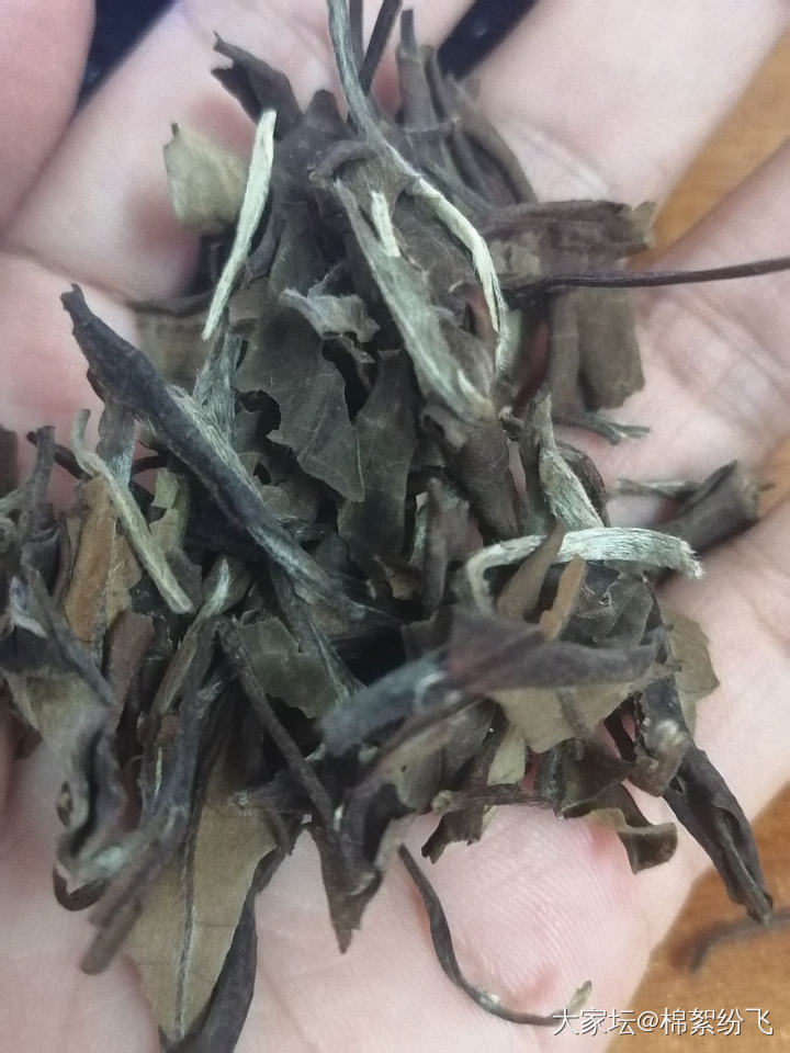 老白茶做旧套路，做旧方法，区别方法--------转自鼎尧白茶_茶叶