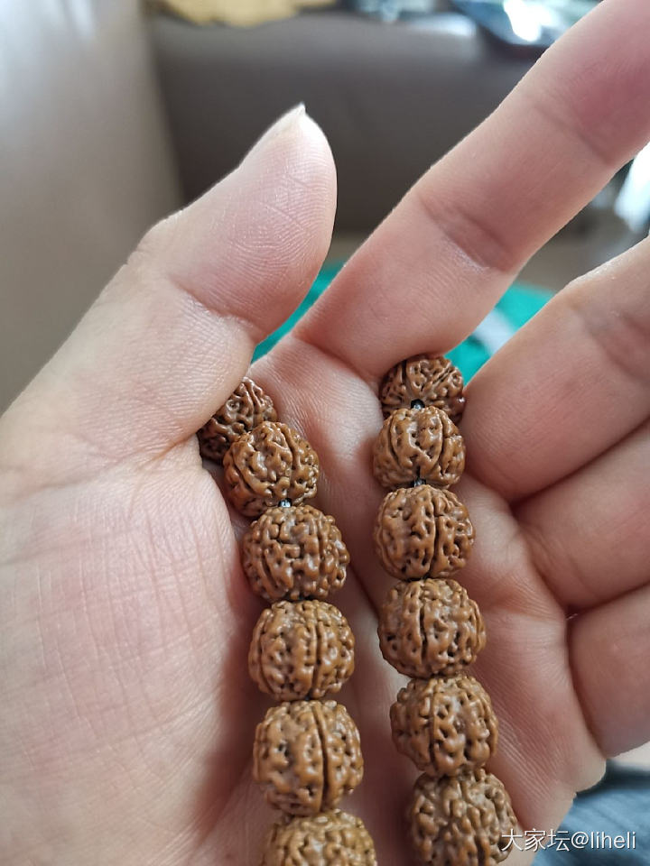 刚耍了一周的小玩意儿，变化如图_核桃