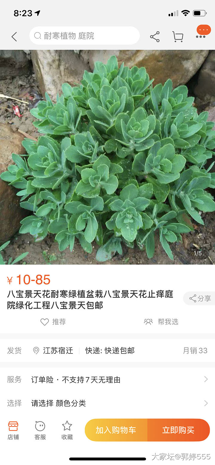 😭蚊子一咬就起大包咋整？_闲聊婴儿育教亲子