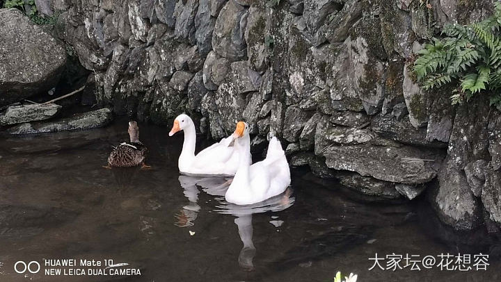 那人那山那狗_景色