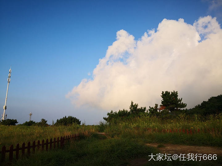 在家郁闷带孩子上山去玩_景色