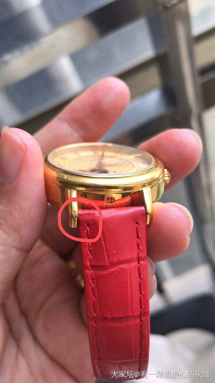 关于今天金表的事情详细说明