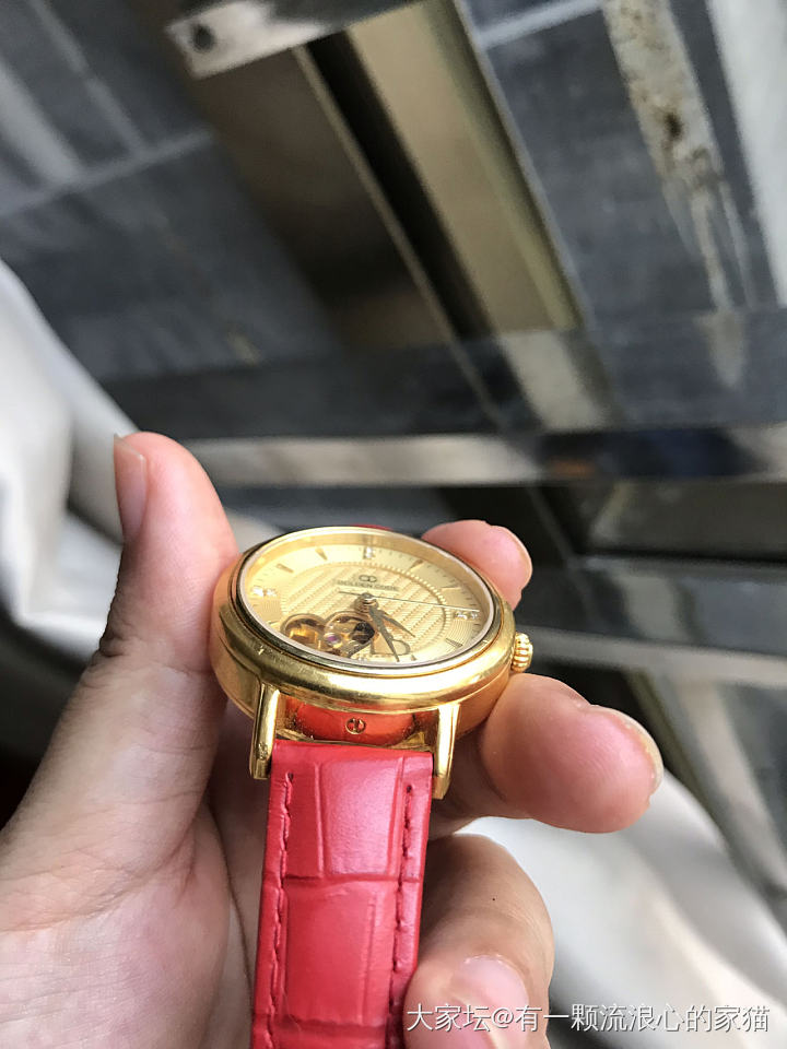 关于今天金表的事情详细说明