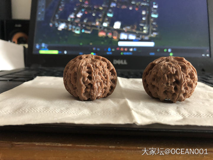 一定是夹过的吗？不是自然生长的矮桩吗？_核桃