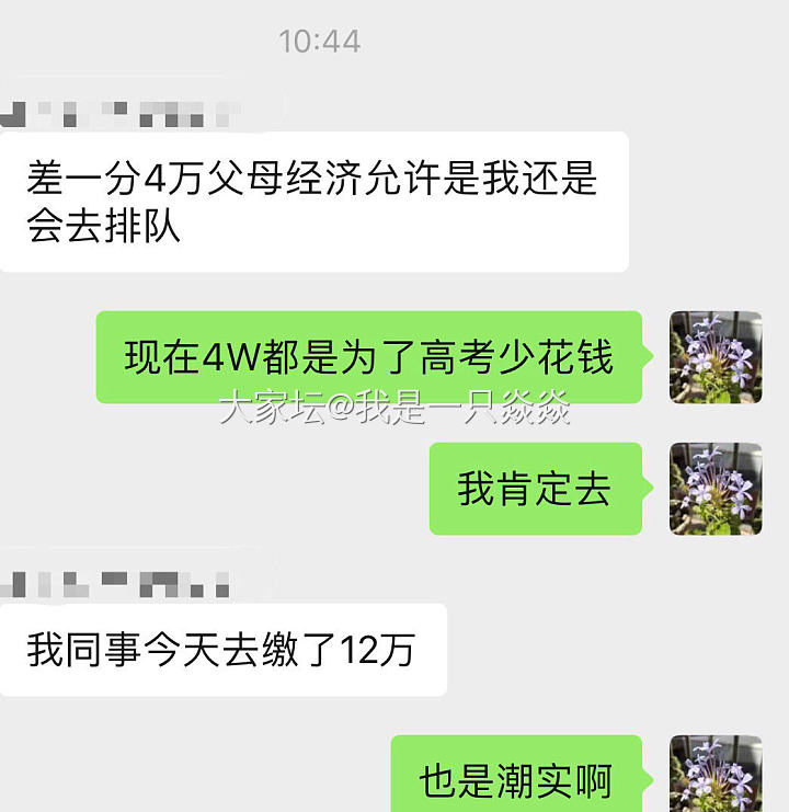 拼娃又拼爹妈的时代。_育教亲子