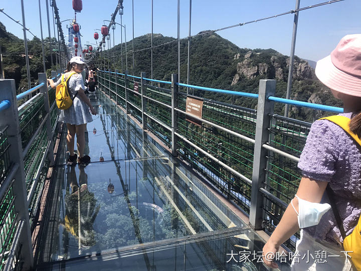 玻璃栈桥_旅游