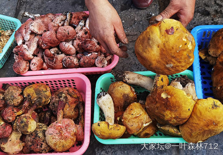 喜欢云南的菜市场_食材