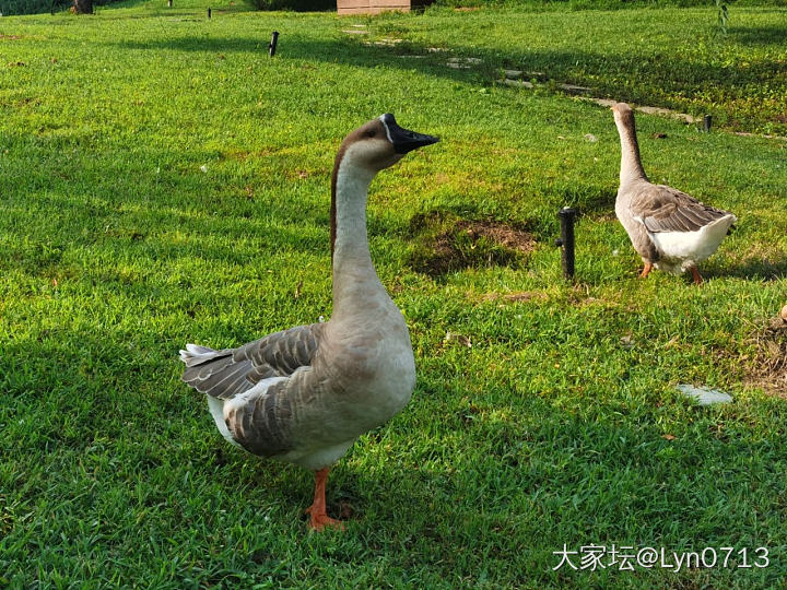 周末京郊度个小假_旅游