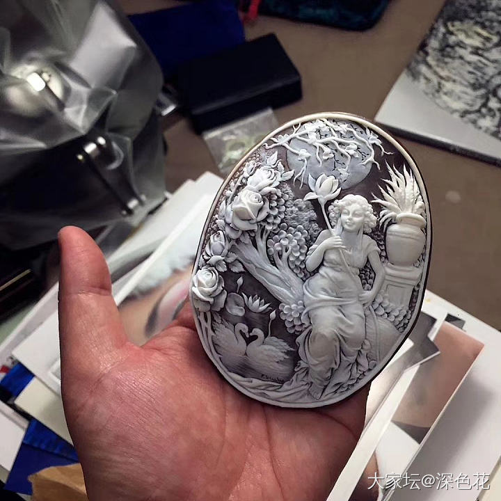 cameo的理想尺寸_贝壳