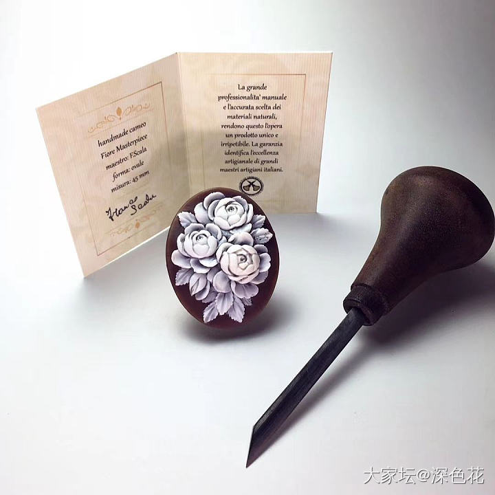 cameo的理想尺寸_贝壳