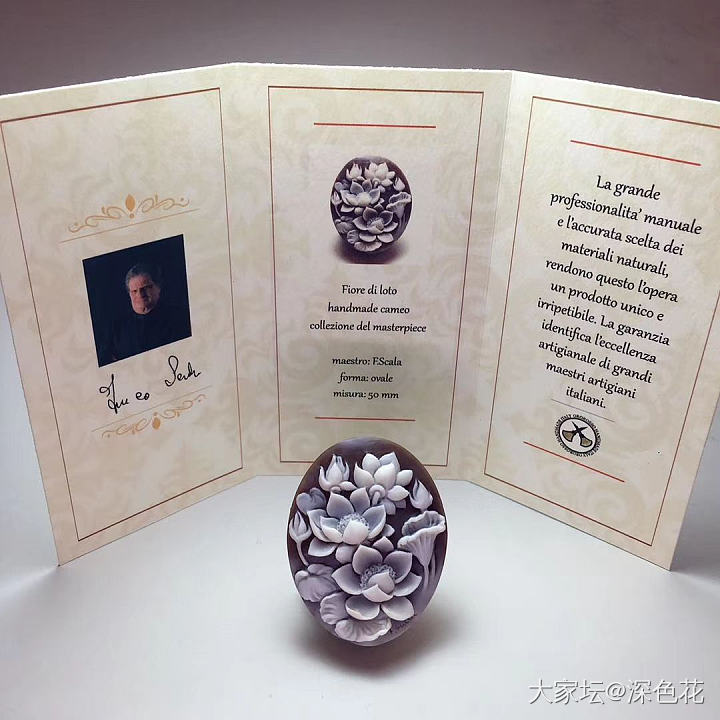 cameo的理想尺寸_贝壳