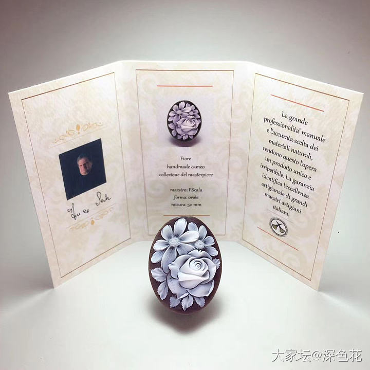 cameo的理想尺寸_贝壳