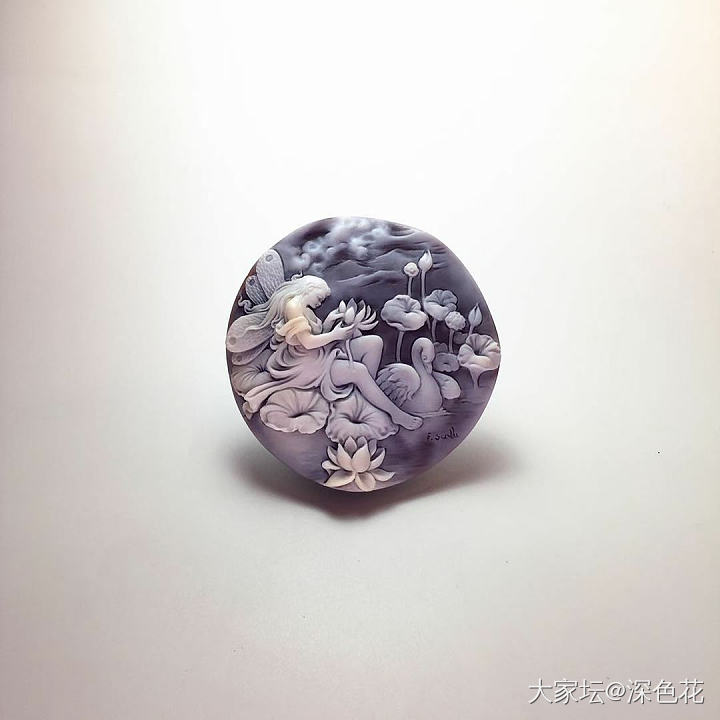cameo的理想尺寸_贝壳