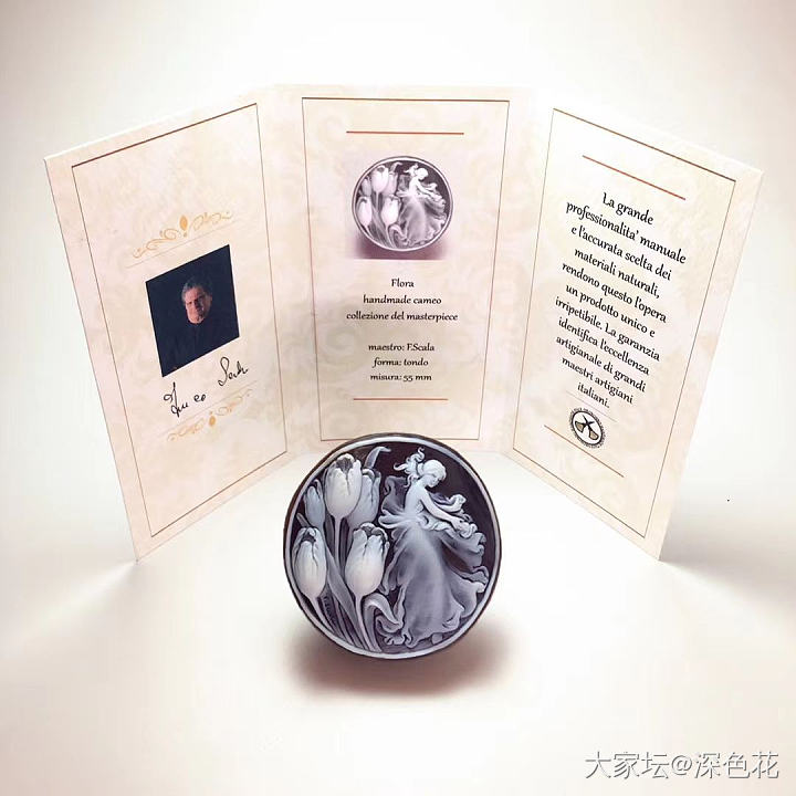 cameo的理想尺寸_贝壳