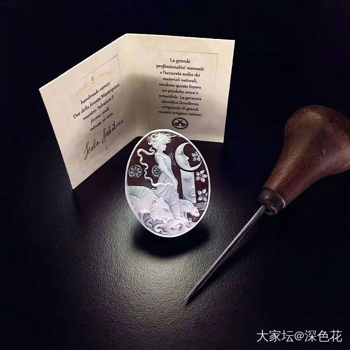 cameo的理想尺寸_贝壳