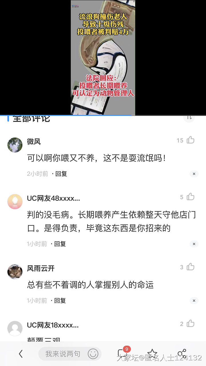 常喂的流浪狗撞伤人，投喂者被判赔，大家怎么看？_狗贴图宠物大家谈