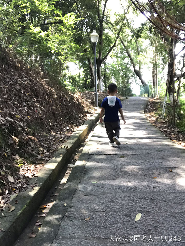 多动症的宝宝无处发泄的精力只能拉来爬山。_幼儿