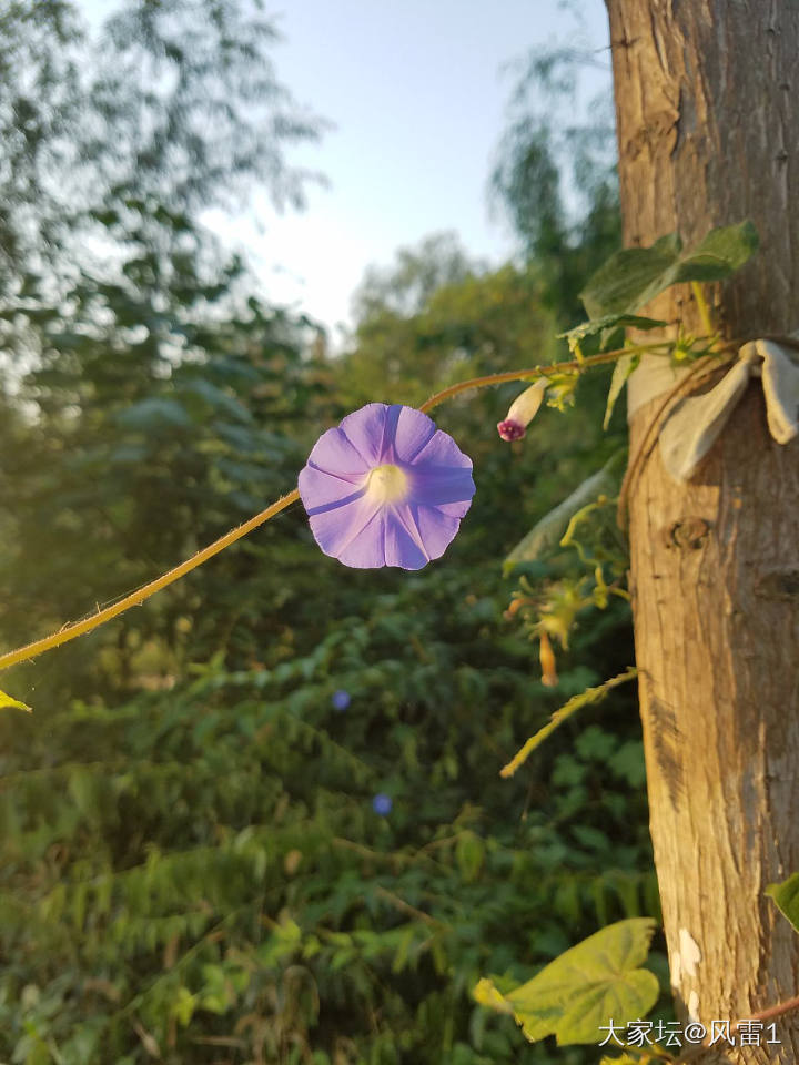 阳光加持_葫芦文玩