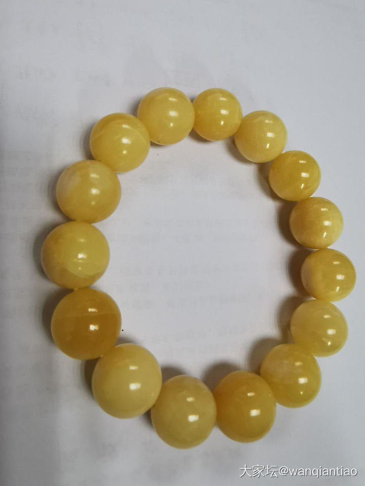 随便晒晒自己的唯一一件砗磲手串_珠串砗磲