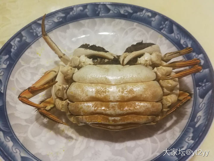 今日宵夜_美食