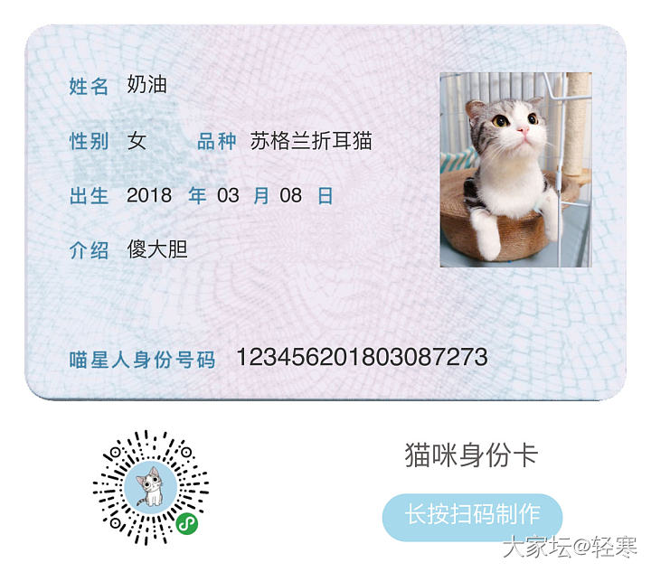 你们的猫都有身份证了啵？_贴图猫