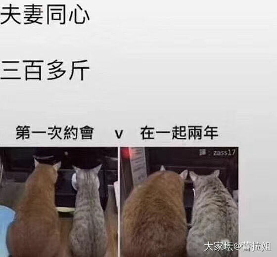 果然同居了会发胖_金手表
