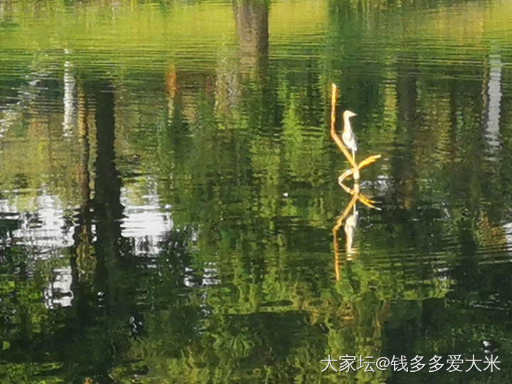 浪漫的秋日美景，让人心生欢喜的美好～_景色生活