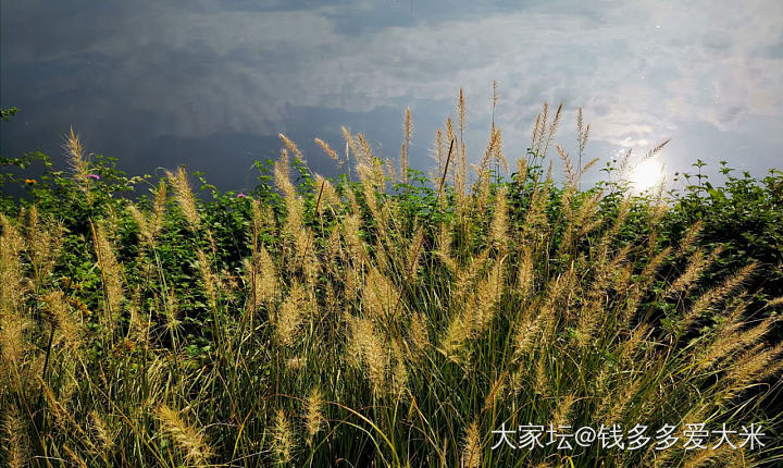 浪漫的秋日美景，让人心生欢喜的美好～_景色生活