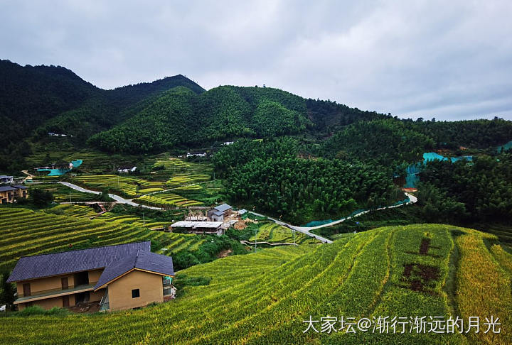 喜看稻菽千重浪_旅游