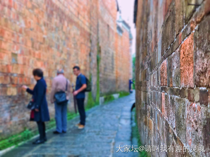 今年一直颓一直颓……_景色旅游