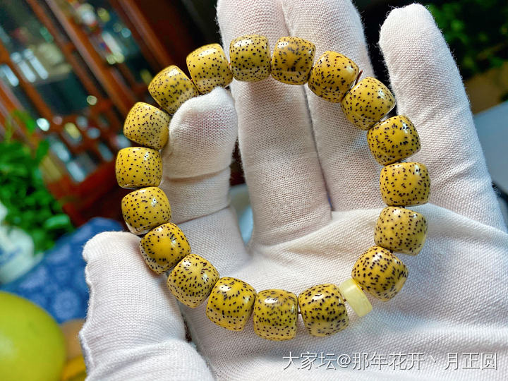 最近的新宠_珠串菩提子