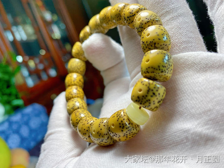 最近的新宠_珠串菩提子