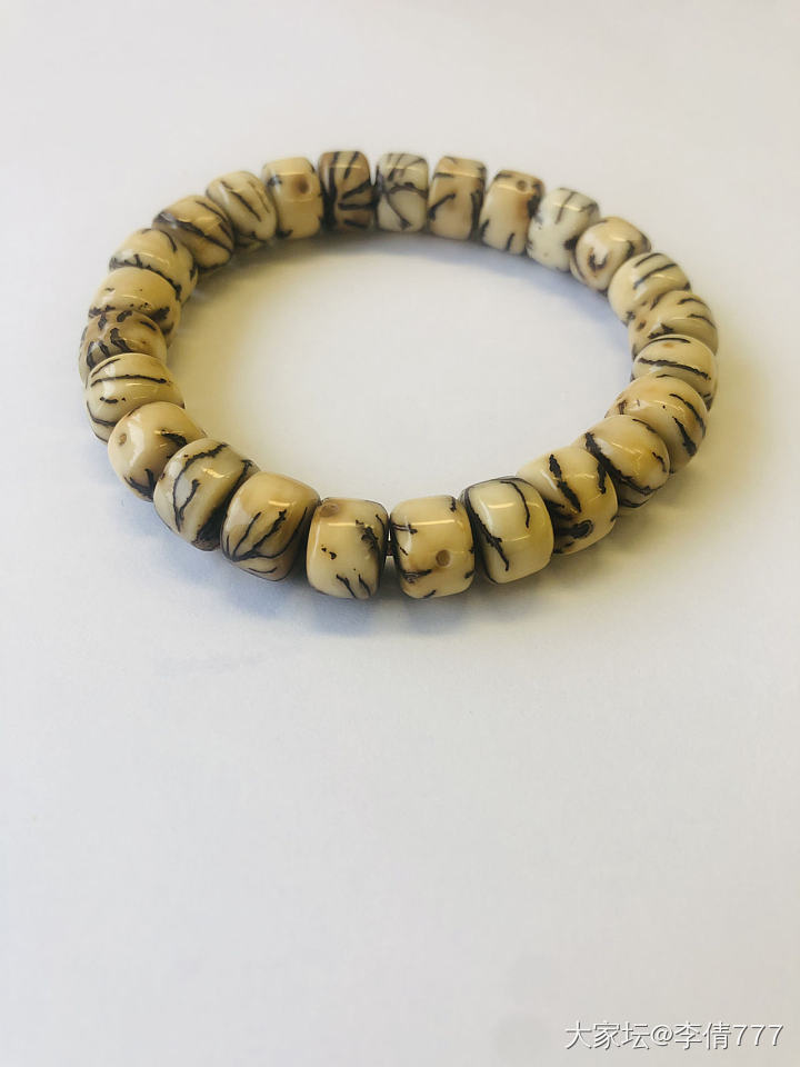 大金线菩提_珠串菩提子