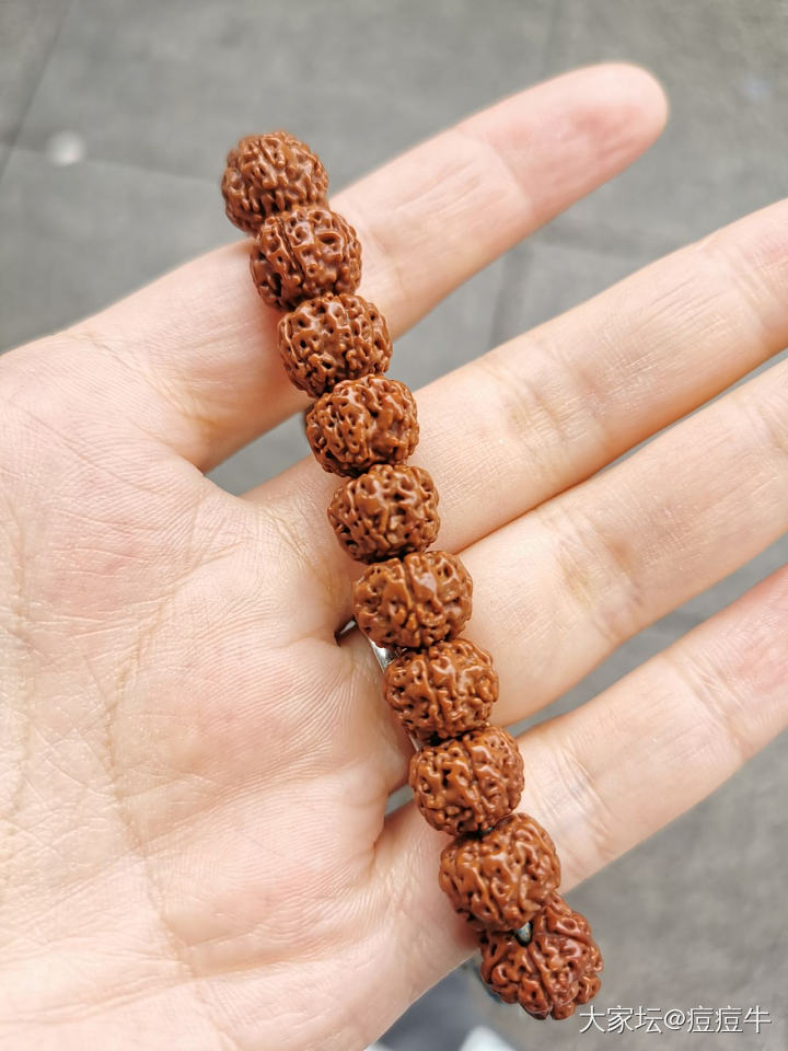有点起色了，加油呀。_珠串菩提子